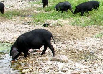 20170424110600_7187.jpg 20170424110600_7187.jpg